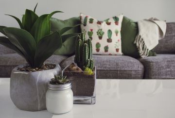 Decorate Your Space Individually With Wayfair's Collection of Home Goods